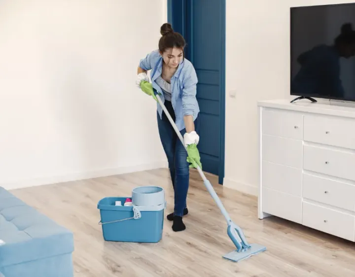 Femme de ménage Champsanglard